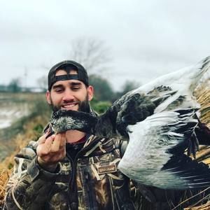 Meet your Posher, Warren